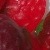 sourstrawbs-7.jpg