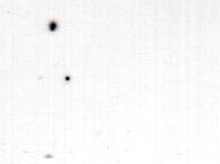 kguenteenlarge.jpg