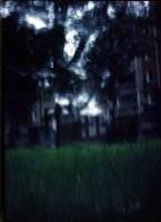 03030303030303small.jpg